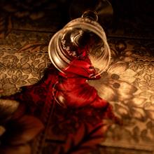 Buried Love - Quando il trauma diventa eredità